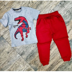 Детски дрехи за момче от 2 части  в червено и сиво